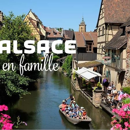 Ville Centre - Gite Le Villois - Au Coeur De L'Alsace Exterior photo